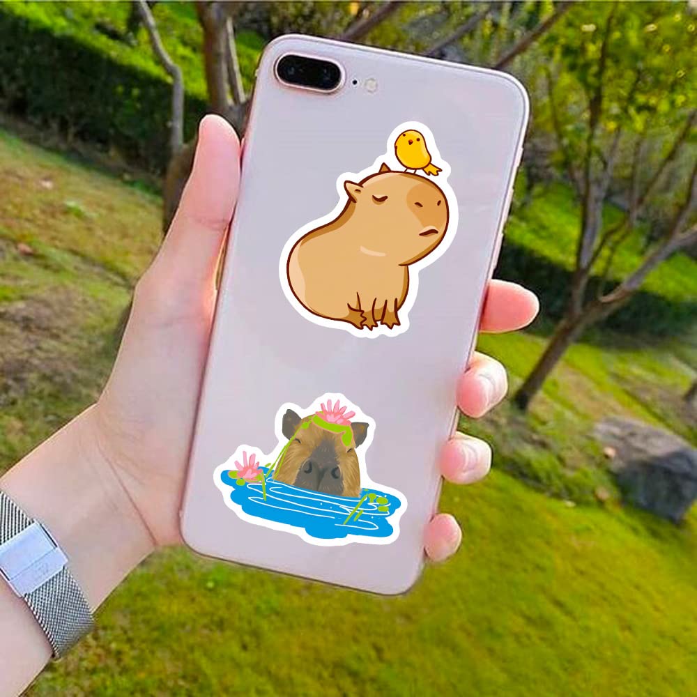 100 Stück One Piece Aufkleber für Wasserflaschen, Laptop, Computer, Skateboard, niedliches Aufkleber-Geschenk für Kinder, Teenager, wasserdicht